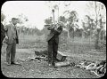 5 - 29. Premier of Queensland, wood-chopping